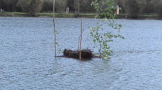 Cage en bordure