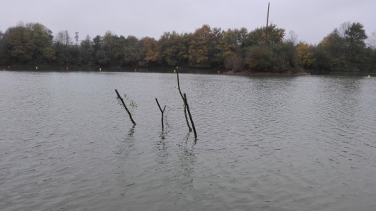 Cage immergée matérialisée par des pieux de saule