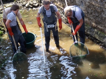 Pêche de sauvegarde, Mayenne